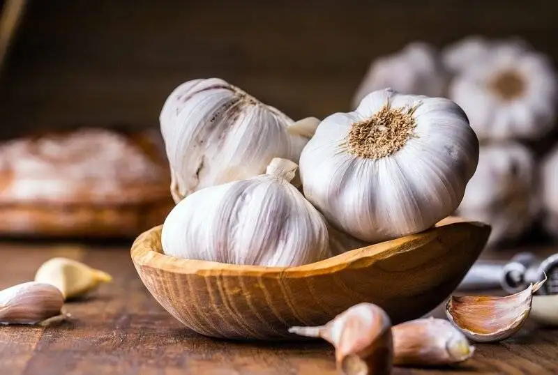 10 غول گیاهی همه فن حریف برای سلامت بیشتر