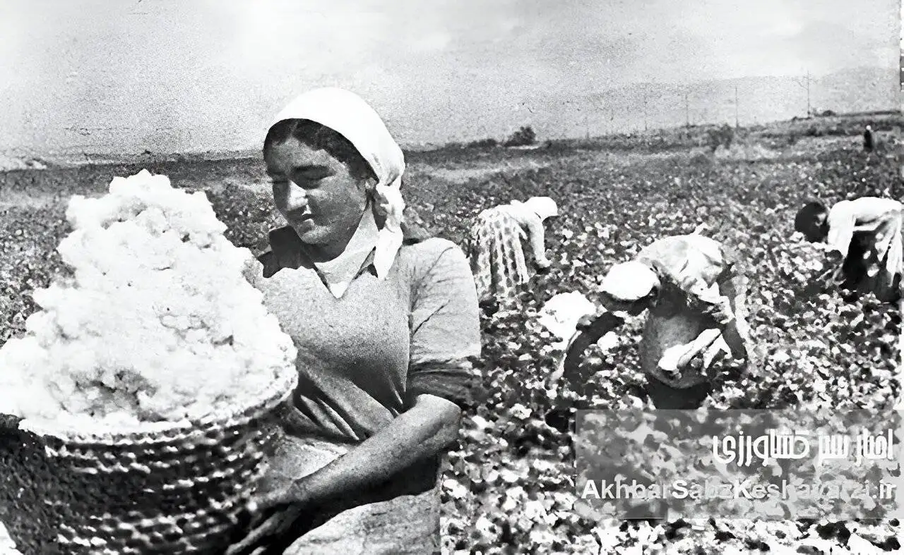 امیری که در سه سال، رهی صدساله رفت