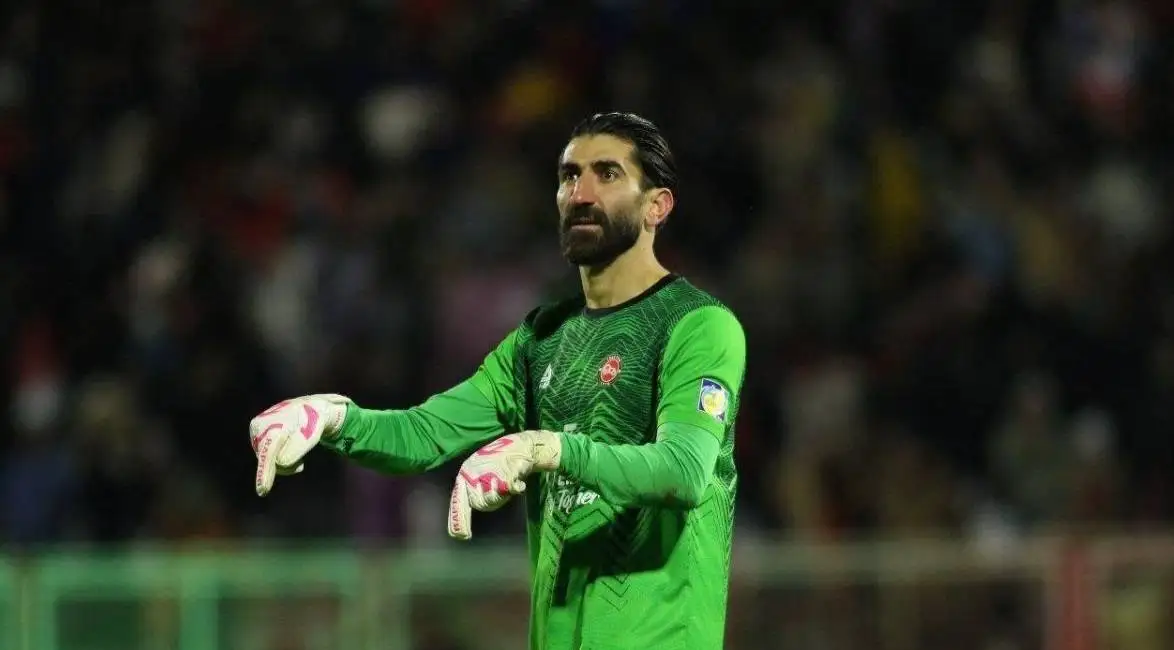 اگر می توانی من را بگیر!