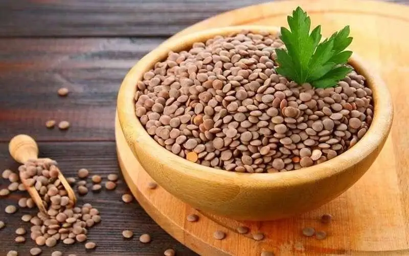 خواص عدس برای مو؛ جلوگیری از ریزش مو با عدس