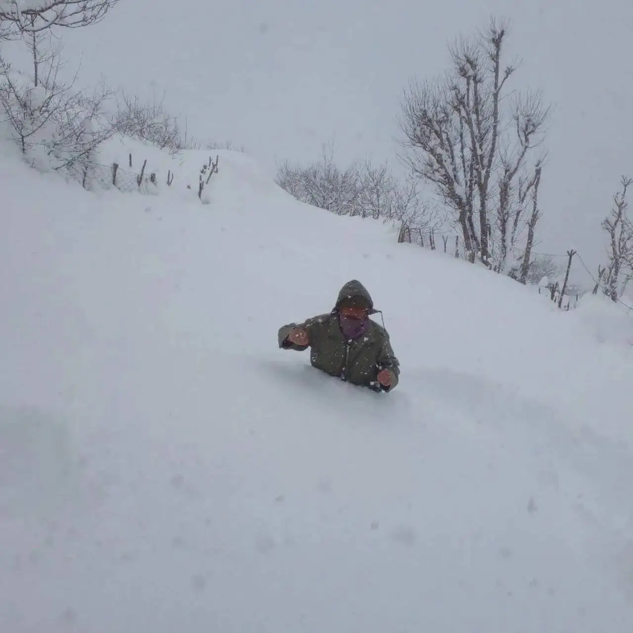 برفی که خاطره ها را زنده کرد + عکس و فیلم