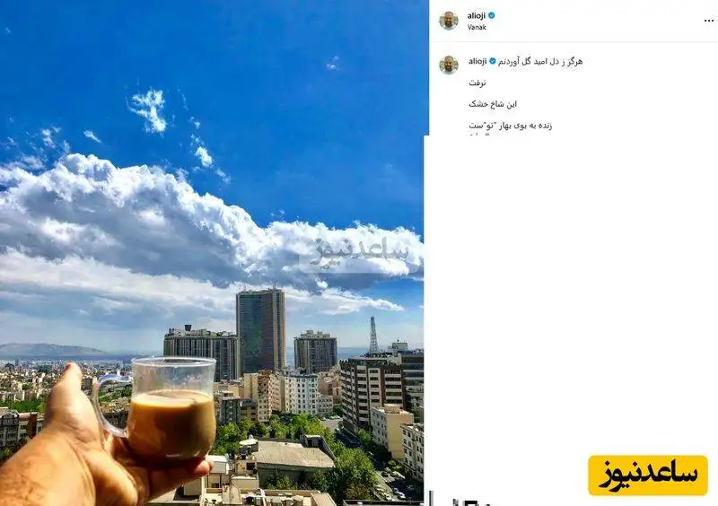 تصاویر - بررسی چیدمان منزل شاهانه و مجلل نرگس محمدی و علی اوجی - از حیاط بهشتی تا مبلمان خوشرنگ با اتاق خواب و عکس عروس خانم و ....