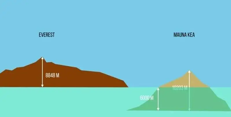 غول پنهان اقیانوس آرام را بشناسید - عکس