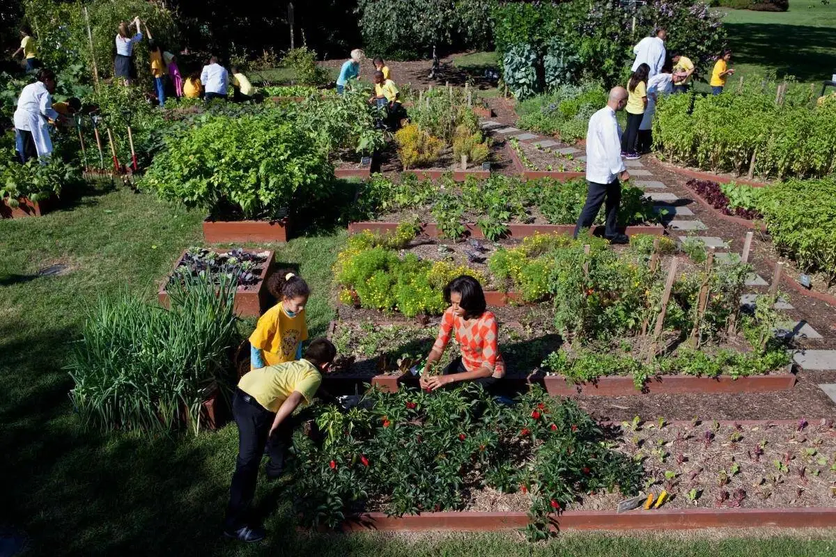 ترامپ این روزها چه غذاهایی می خورد ؟ + تصاویر - همه چیز درمورد آشپزخانه اختصاصی کاخ سفید