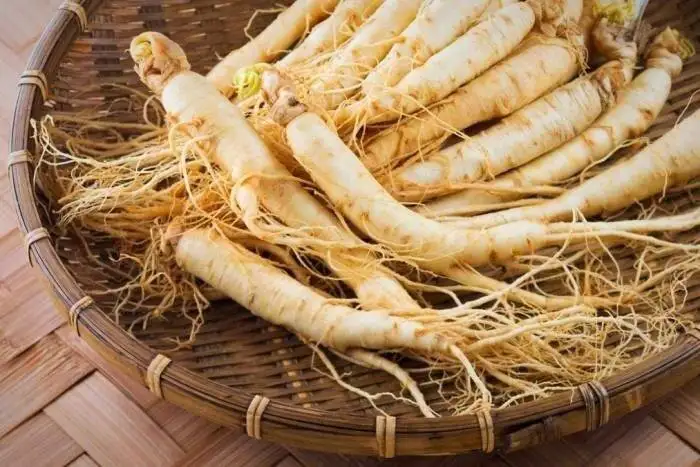 آشنایی با خواص جینسینگ