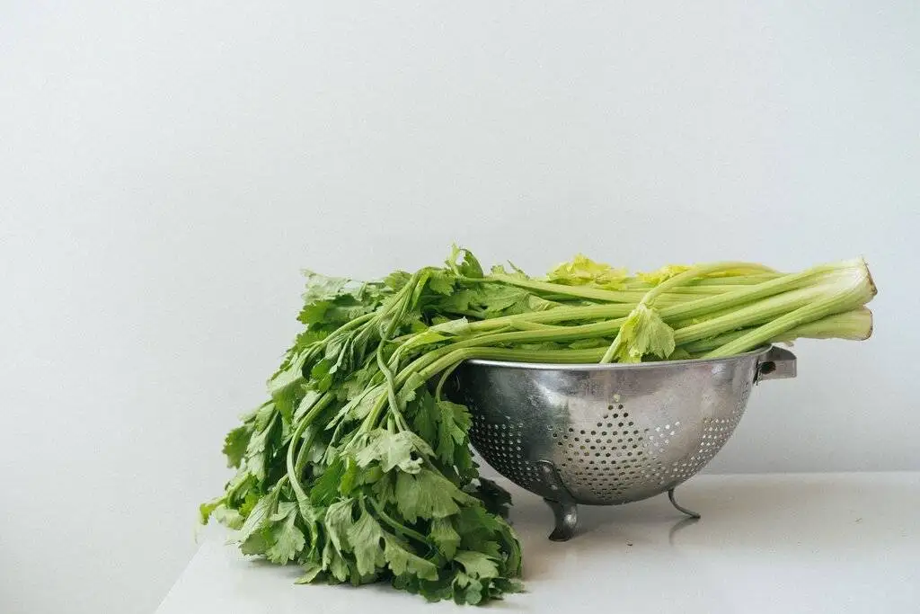 سبزی پرخاصیتی که دشمن فشار خون است