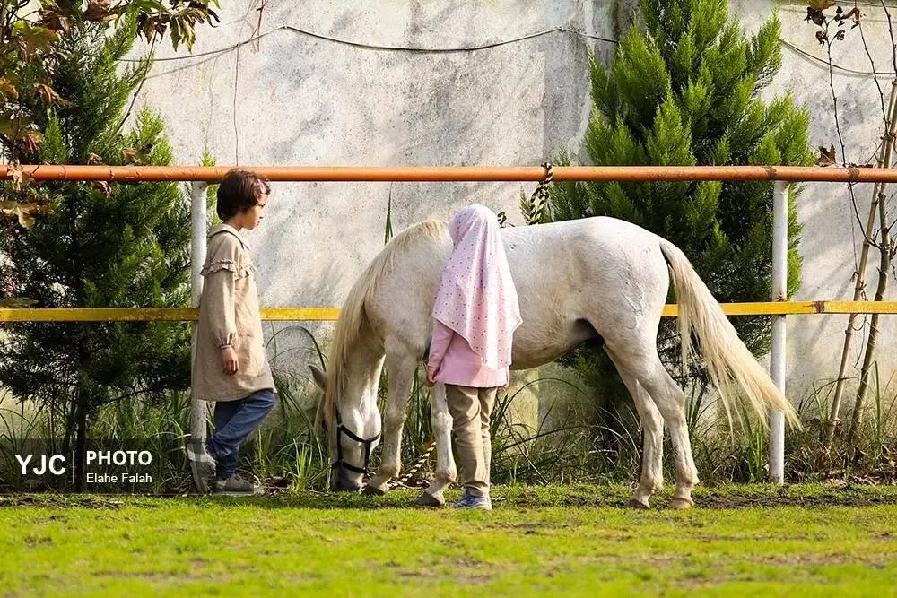 زیبایی اسب اصیل نژاد کاسپین را ببینید + تصاویر