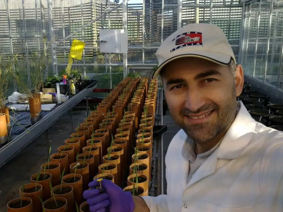 واقعیت شوکه کننده ؛ در آکسفورد شپش عادی است! - خیلی کار خوبی کردم برگشتم ایران