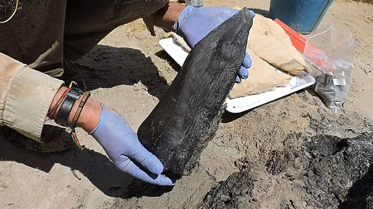 کهن ترین ساخته های دست بشر ؛ از مرد شیری 40 هزار ساله تا چرخ 5 هزار ساله + عکس