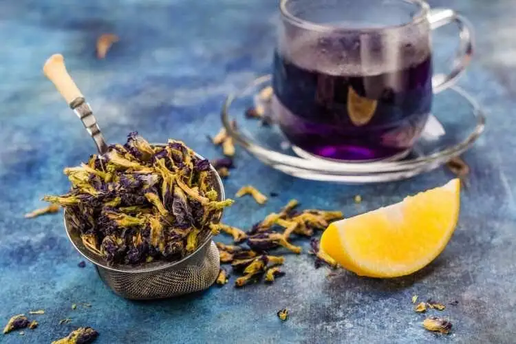 این دمنوش سرشار از ویتامین c است و کلیه ها را تقویت می کند + روش تهیه