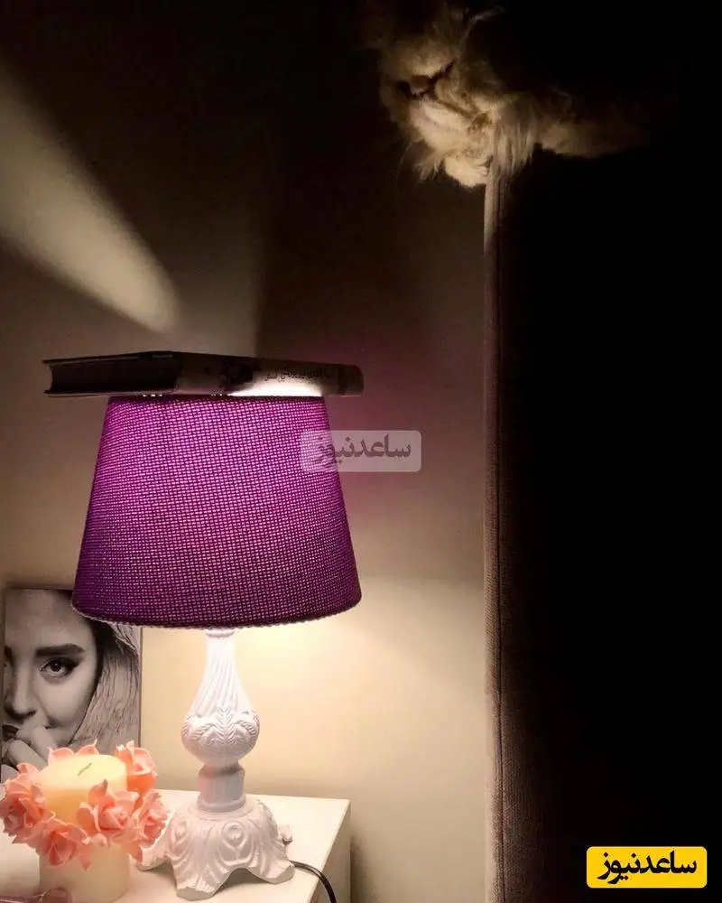 تصاویر - بررسی چیدمان منزل شاهانه و مجلل نرگس محمدی و علی اوجی - از حیاط بهشتی تا مبلمان خوشرنگ با اتاق خواب و عکس عروس خانم و ....