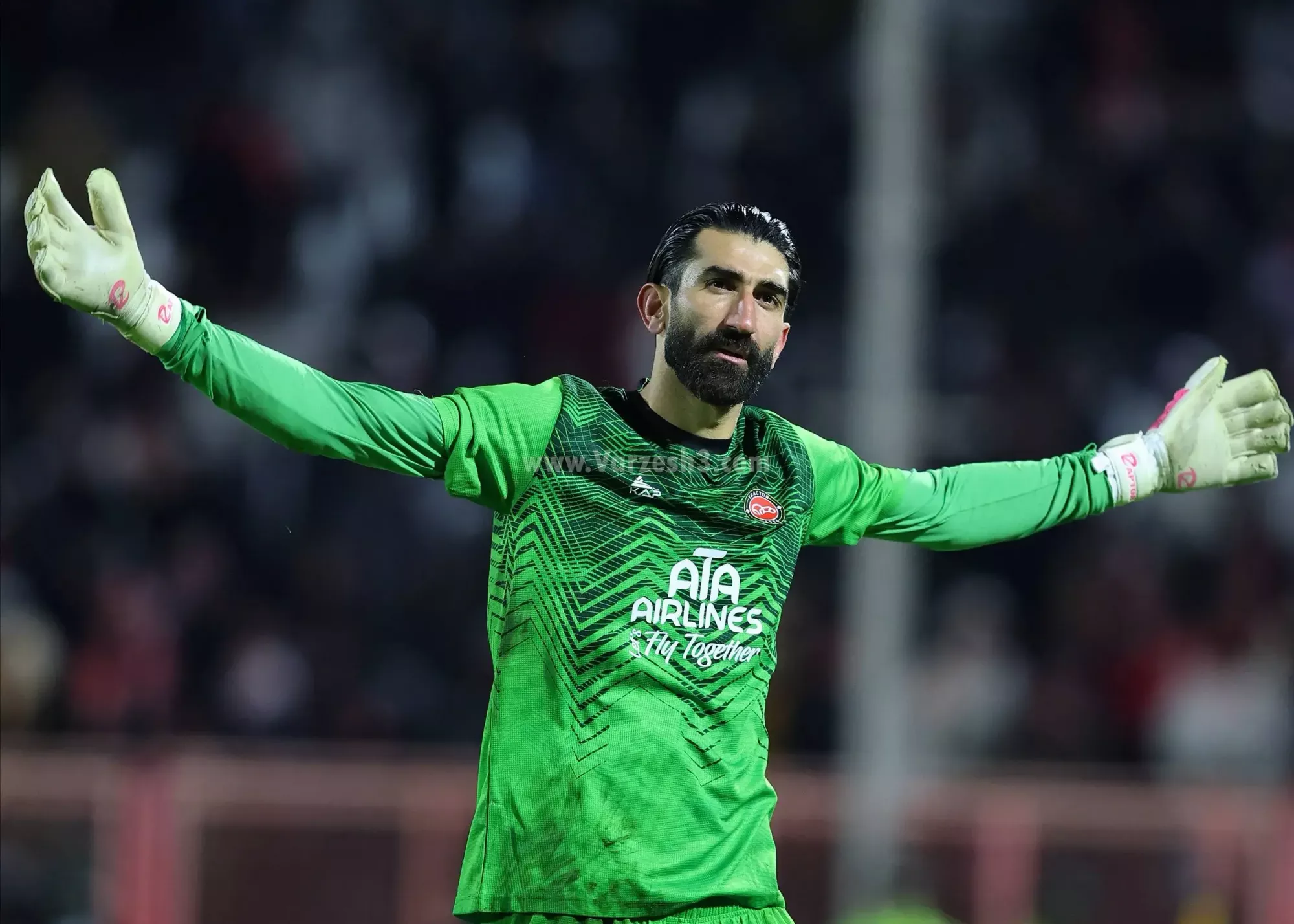 اگر می توانی من را بگیر!