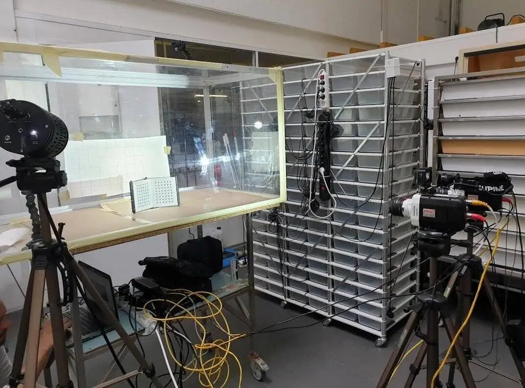 استراتژی های متفاوت مارهای سمی در یک هزارم ثانیه!