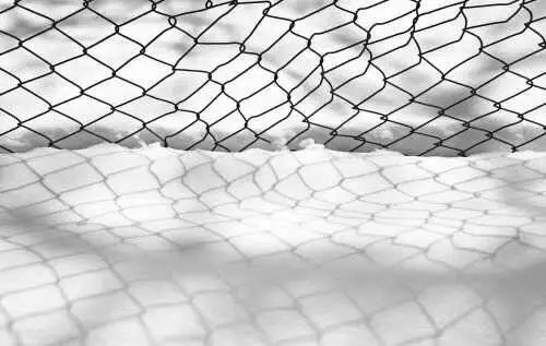 چرا تصاویر کیارستمی معروف شدند؟