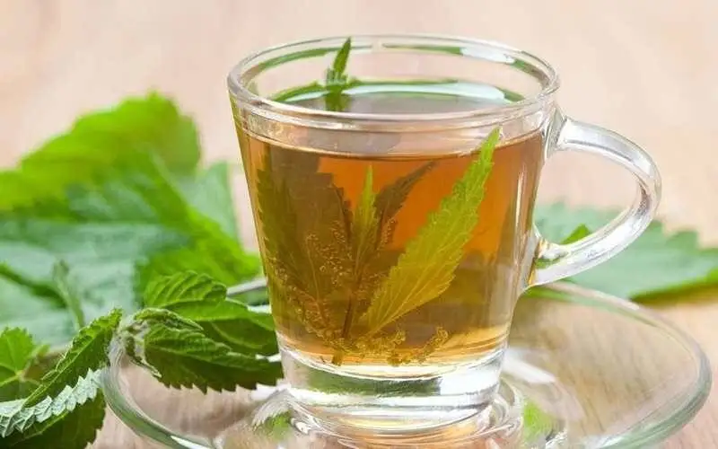 درمان خانگی موثر برای دفع سریع سنگ کلیه بدون دارو