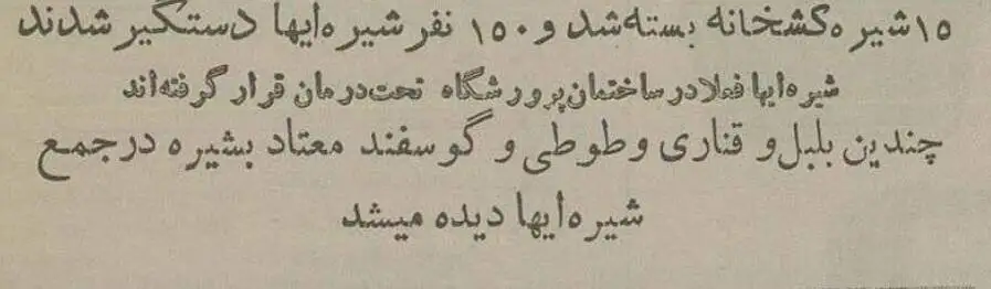 بلبل، طوطی و گوسفند را در اهواز معتاد کردند! + عکس
