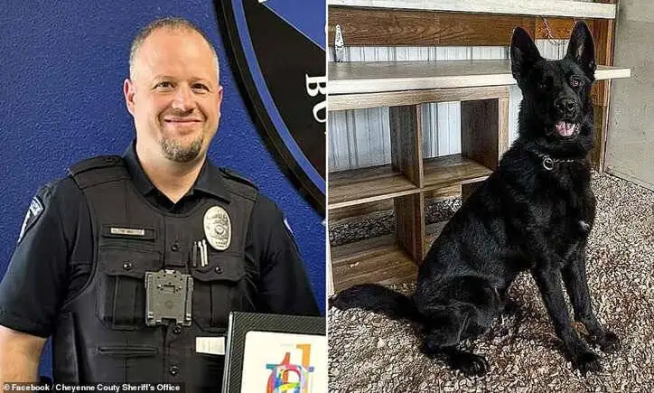 سگ موادیاب دختر 3 ساله پلیس را کشت - عکس