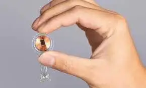 یادگیری یک زبان سخت تنها در چند ثانیه! - کشف نخستین تمدن دیجیتالی در سلول های خاکستری