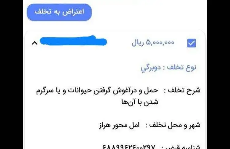 جریمه حمل سگ و گربه 500 هزار تومان - سوار کردن کودکان کمتر از 12 سال در صندلی جلو 60 هزار تومان!