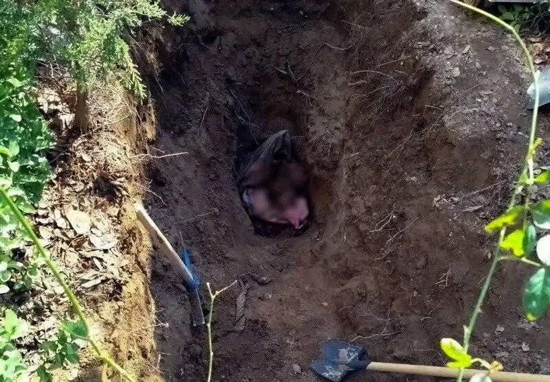 افشای جنایت عاشقانه در تهران؛ جسد سوخته پس از 4 سال شناسایی شد - تصاویر