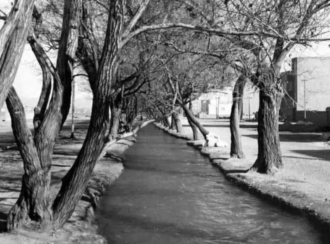 امیری که در سه سال، رهی صدساله رفت