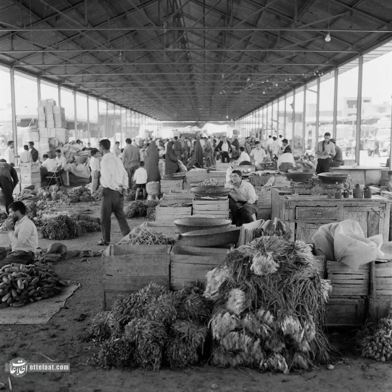 میدان میوه و تره بار تهران در 50 سال پیش - عکس