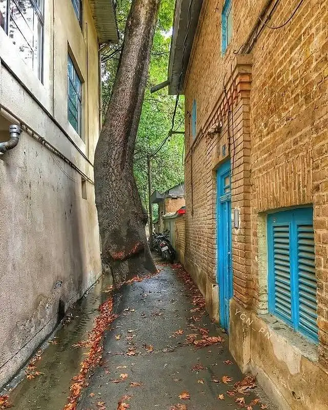 تصاویری جالب و دیدنی از پاییز درکه