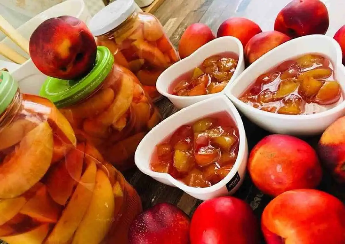 درست کردن مربای شلیل؛ یکی از مرباهای خوشمزه و شکیل تابستانی