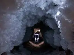 بیداری یک ویروس 48 هزارساله از یخ های سیبری - زمین دوباره آنها را بیدار کرده؟