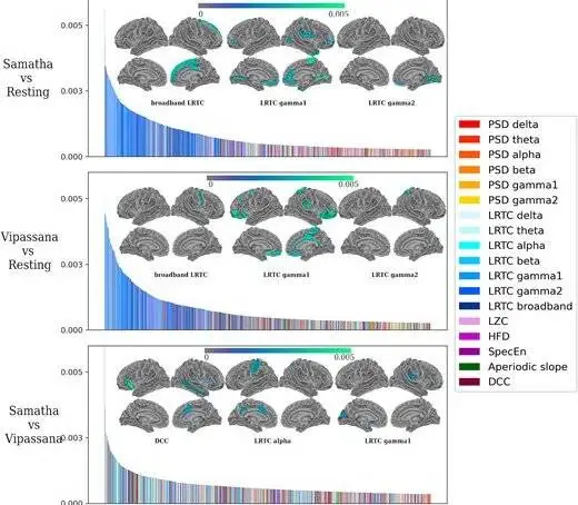 راز ذهن آرام - مدیتیشن با مغز ما چه می کند؟