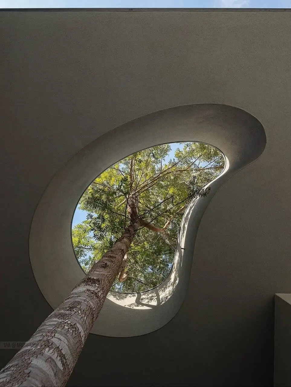 هنر نزد معمارانی که دوستدار محیط زیست اند