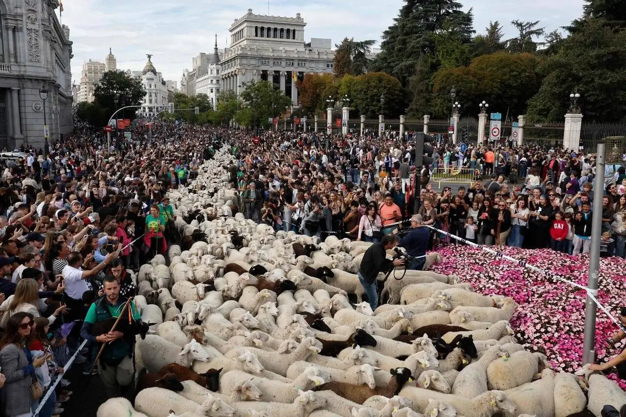 پیوند سنت با محیط زیست شهری