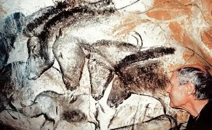 نقاشی های شگفت انگیز در غاری که 21 هزار سال هیچ کس وارد آن نشده بود - عکس