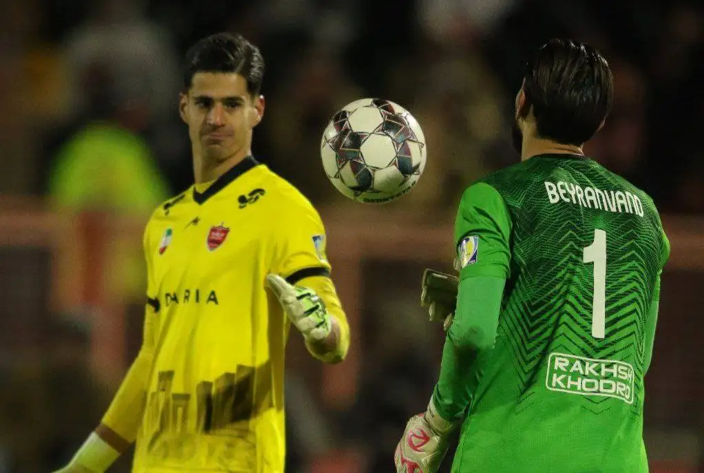 اگر می توانی من را بگیر!