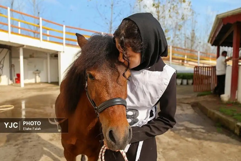 زیبایی اسب اصیل نژاد کاسپین را ببینید + تصاویر