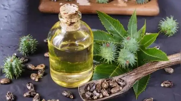 5 راه حل ساده برای محافظت از کبد و کلیه ها