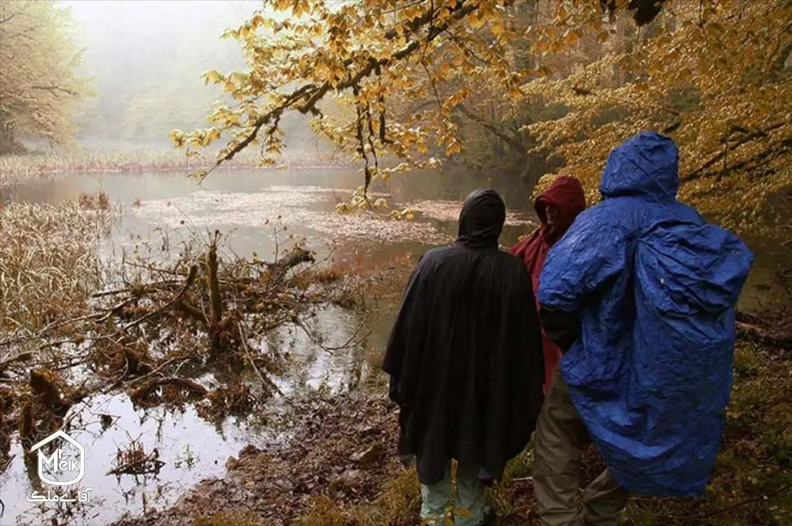 فراخین؛ دریاچه ای بکر در دل جنگل های هیرکانی