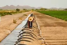 راه حل نهایی برای خشکسالی؛ پایان دغدغه کشاورزان - این ژن تمام معادله را برهم می زند