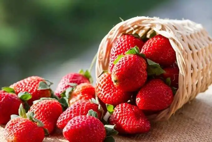 صبحانه ای سالم، سریع و بدون پخت: فقط در 5 دقیقه آماده اش کنید