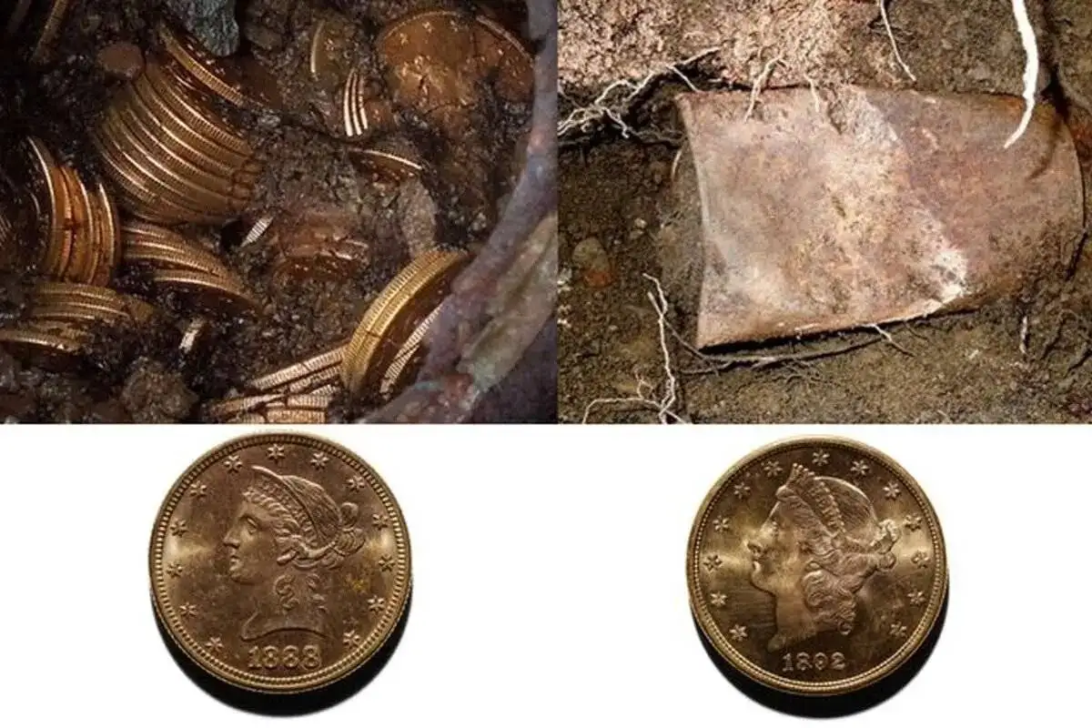 زوج خوش شانس یکی از بزرگ ترین گنجینه های طلا را پیدا کردند - عکس