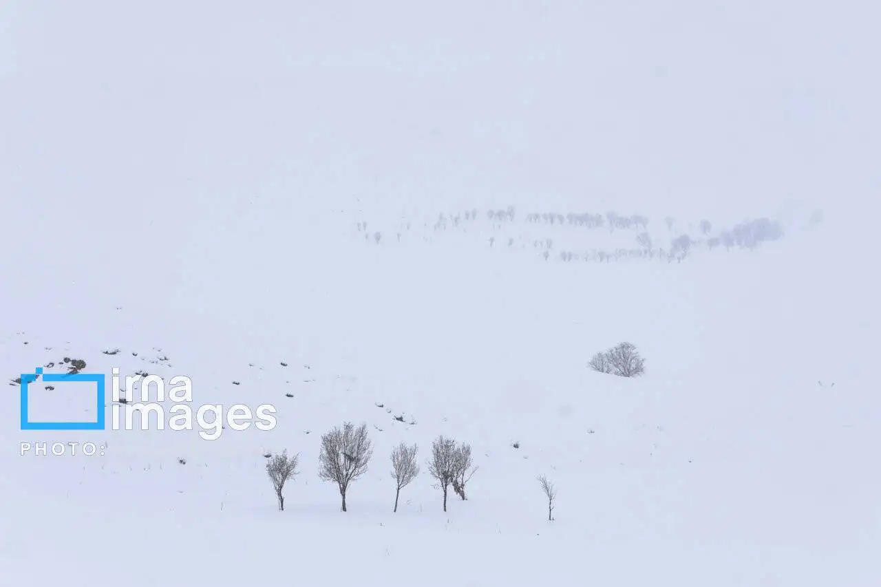 چهره ایران برفی و خوشحالی مردم + عکس و فیلم