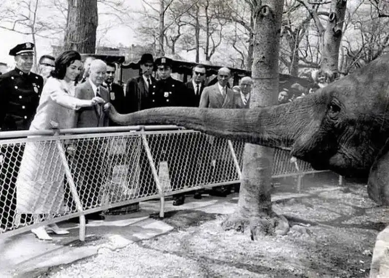 عکس - سفر به ایام قدیم فرح پهلوی در باغ وحش نیویورک - 1340