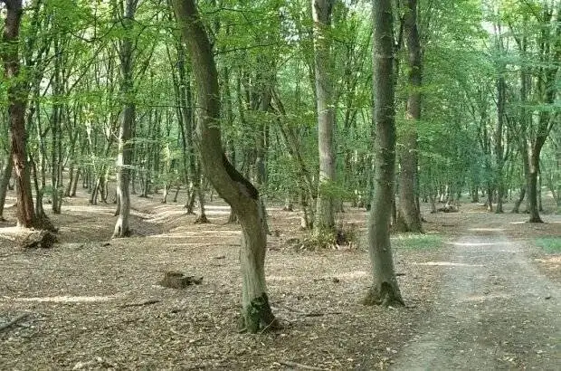 قانون جاذبه زمین در این مکان های واقعی کار نمی کند!