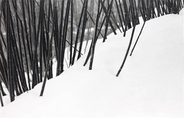 چرا تصاویر کیارستمی معروف شدند؟