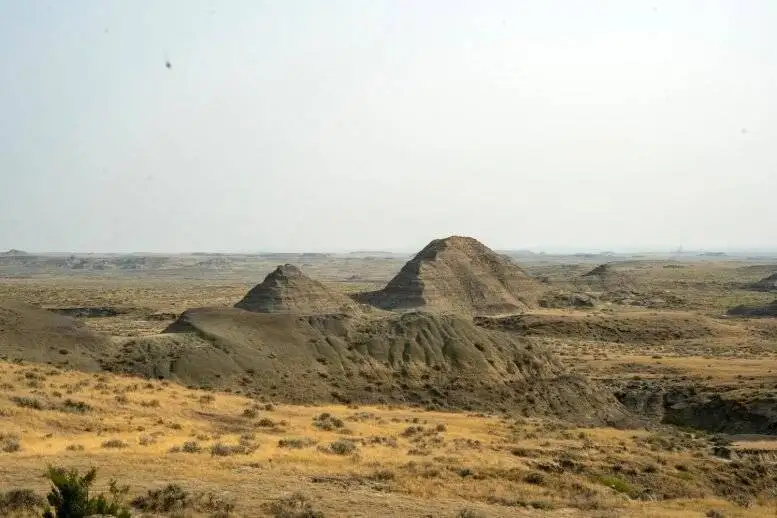 سرنخ هایی از زندگی در پایان عصر دایناسورها