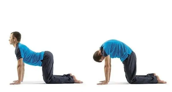 چند تمرین ساده برای اصلاح گودی کمر؛ متداول ترین دلیل کمردرد