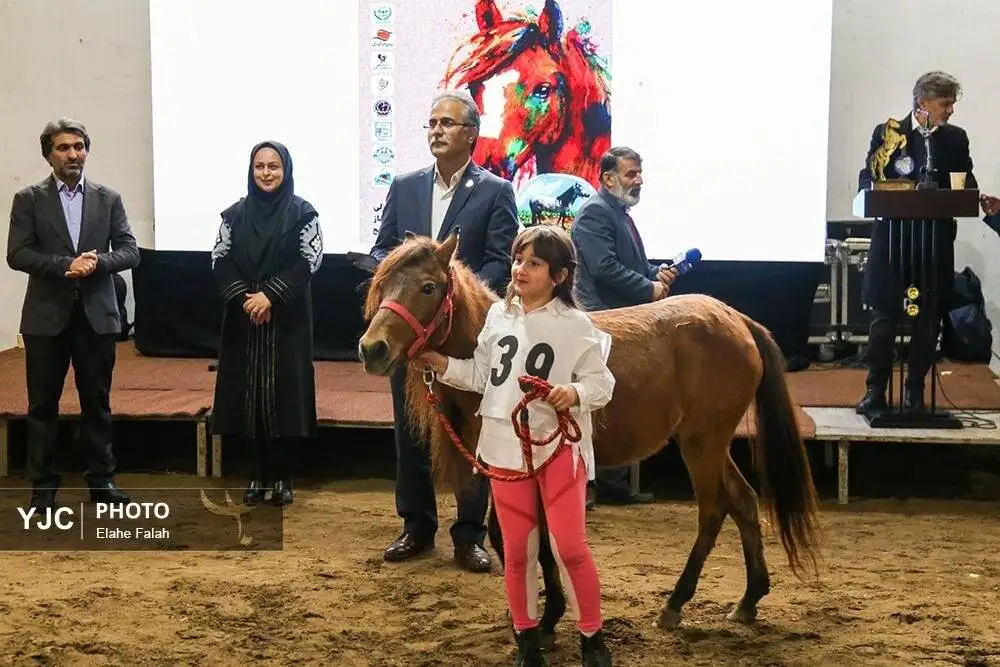 زیبایی اسب اصیل نژاد کاسپین را ببینید + تصاویر